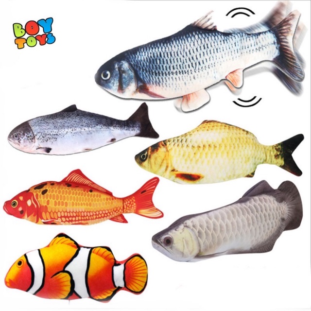 Gấu bông cá chép