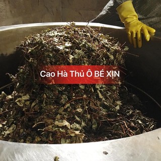 CAO HÀ THỦ Ô BÉ XỊN
