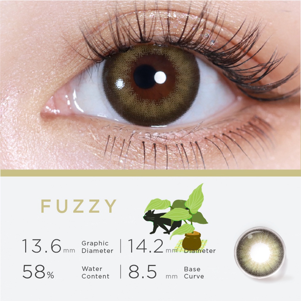 Hộp 10 kính áp tròng Moody bộ sưu tập Cat Eyes màu FUZZY 14.2mm sử dụng hàng ngày