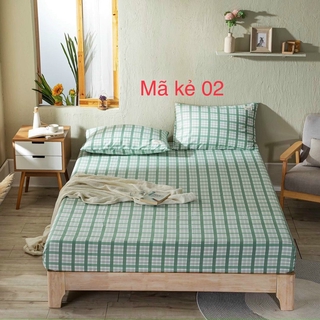 Bộ GA+2 VỎ GỐI CAO CẤP