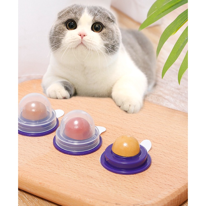 Quả bóng bạc hà đồ chơi cho mèo
