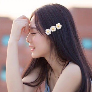 Buộc Tóc - Cài Tóc Hoa Cúc Họa Mi Hàn Quốc