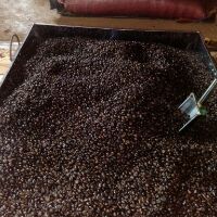 CAFE HẠT MỘC ROBUSTA 80 ARABICA 20 (500gr)