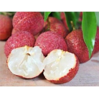 Cây giống vải không hạt + Tặng (0,3kg) phân hữu cơ cao cấp