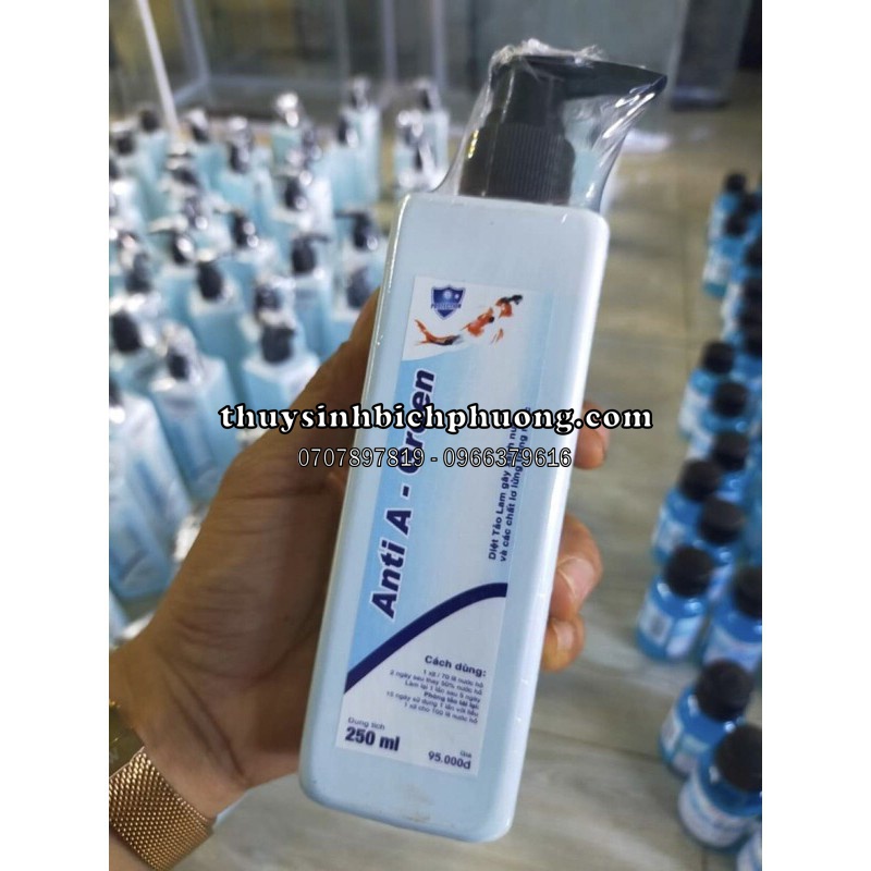 THUỐC TRỊ TẢO XANH LAM BÁM KÍNH -NƯỚC XANH - TẢO XANH | HIỆU QUẢ SAU 30 PHÚT SỬ DỤNG | ANTI A - GREEN