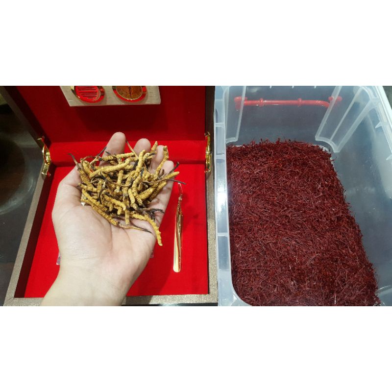 Đông Trùng Hạ Thảo Nguyên Con Tây Tạng Hộp 10g 30 Con Loại Đặc Biệt