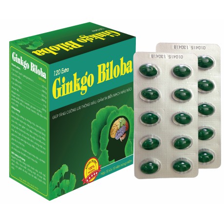 GINKGO BILOBA 120mg  -Bổ não, Hoạt huyết dưỡng não, tăng cường lưu thông máu não