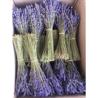 Set 5 Túi Thơm Hoa Lavender Khô