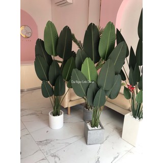 Cây chuối giả 1,6m