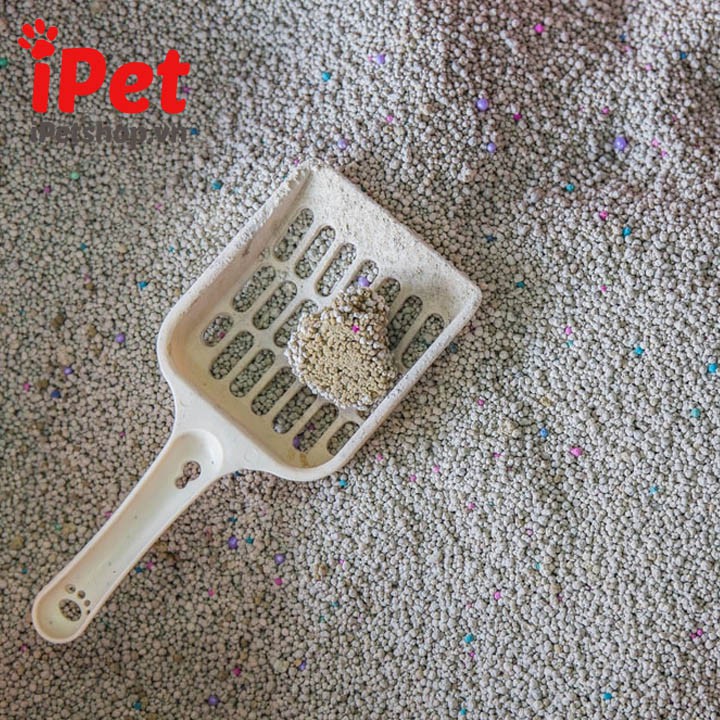 Cát Vệ Sinh 10kg Có Mùi Thơm Hút Ẩm Tốt Cho Mèo - iPet Shop