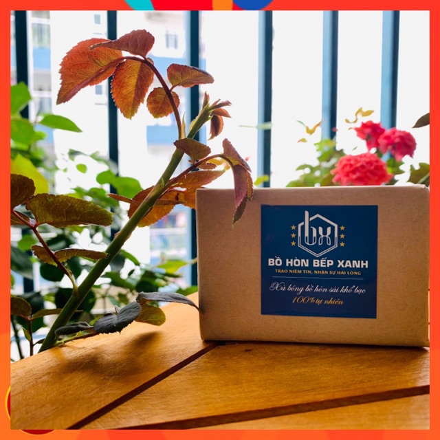 Combo 2 Bánh xà Bông bồ Hòn Bếp Xanh Handmade