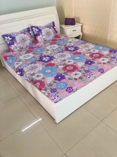 Sét ga gối M8