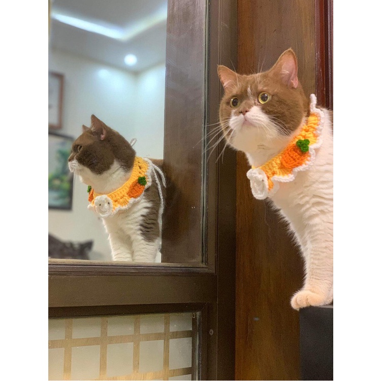 Vòng cổ len handmade cho CHÓ/MÈO