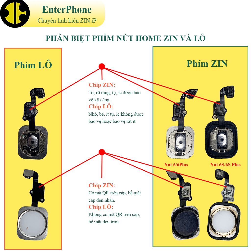 Phím nút home iP 6/ 6 Plus/ 6S/ 6S Plus zin bóc máy