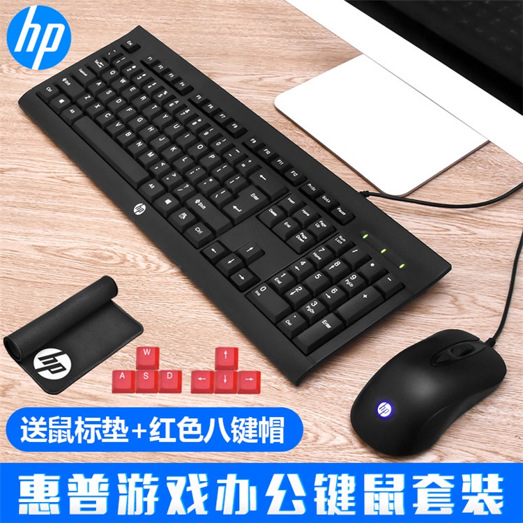 Bộ phím chuột USB HP KM100