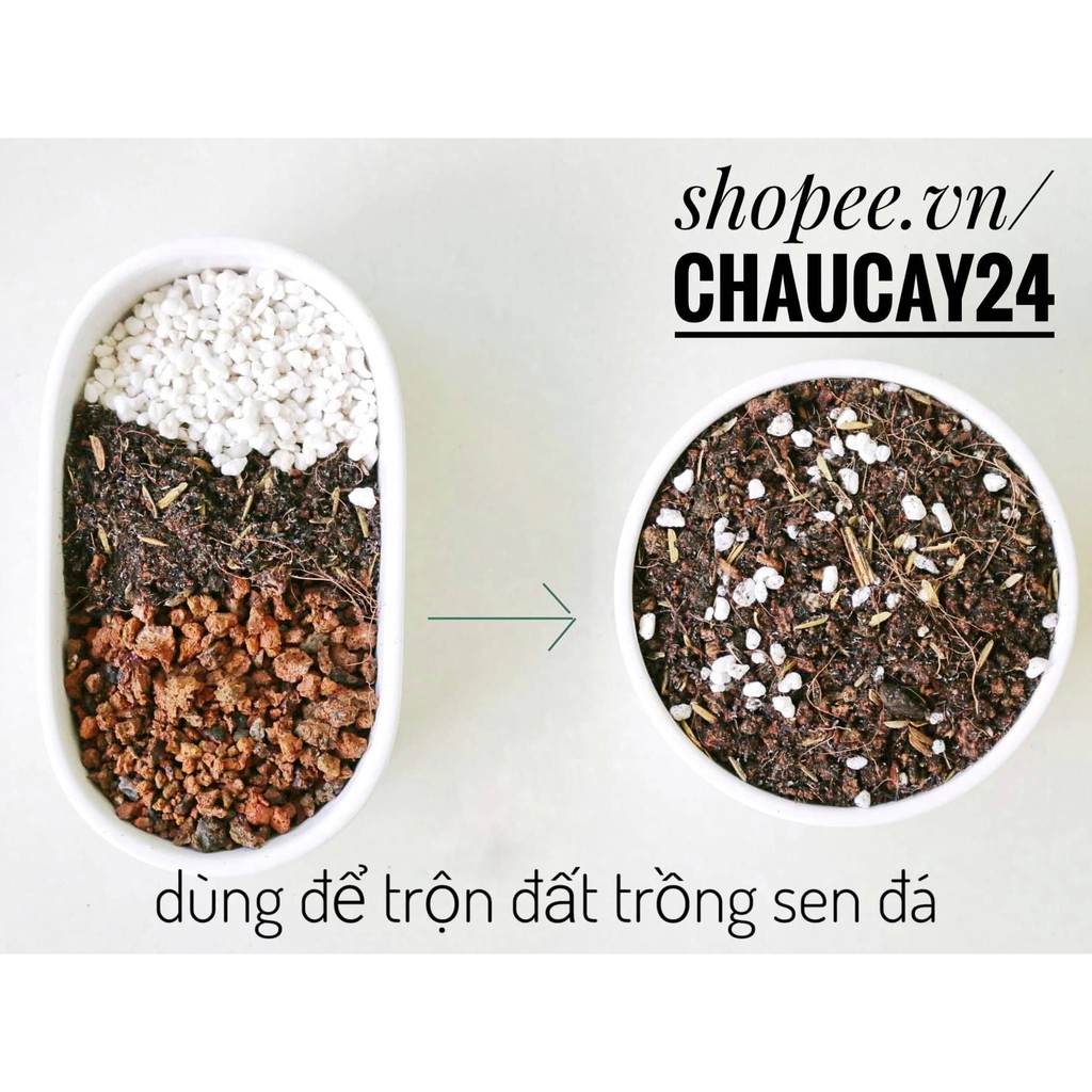 Đá perlite đá trân châu trồng cây cảnh nội thất, trồng rau, trộn đất trồng sen đá, xương rồng