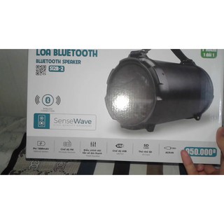 Loa Bluetooth eSaver S12B-2 Đen