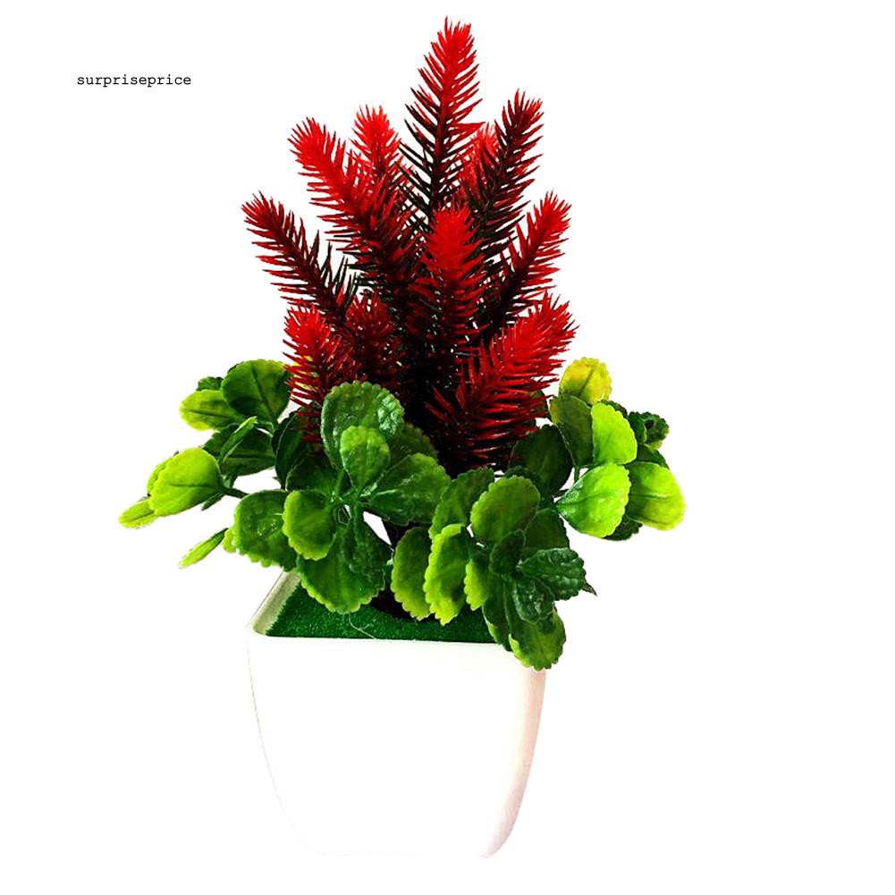 Chậu cây bonsai giả trang trí đa năng