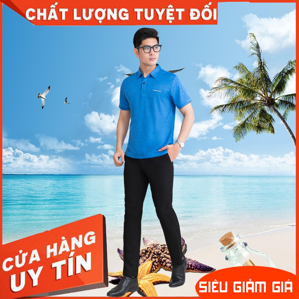 Áo thun nam tay ngắn, áo phông nam có cổ, vải mềm mịn, form regular fit P2008 Chính Hãng | BigBuy360 - bigbuy360.vn