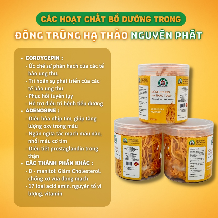 2 hộp Đông Trùng Hạ Thảo tươi nguyên đế Phát hộp 20 gram cao cấp - Bồi bổ cơ thể - Tăng sức đề kháng - Nấu canh, pha trà