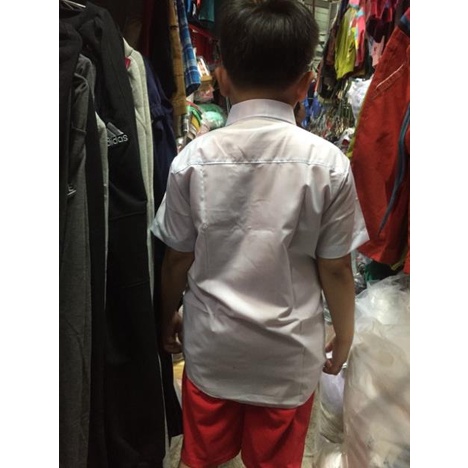 Free ship  Áo sơ mi trắng học sinh cấp 1