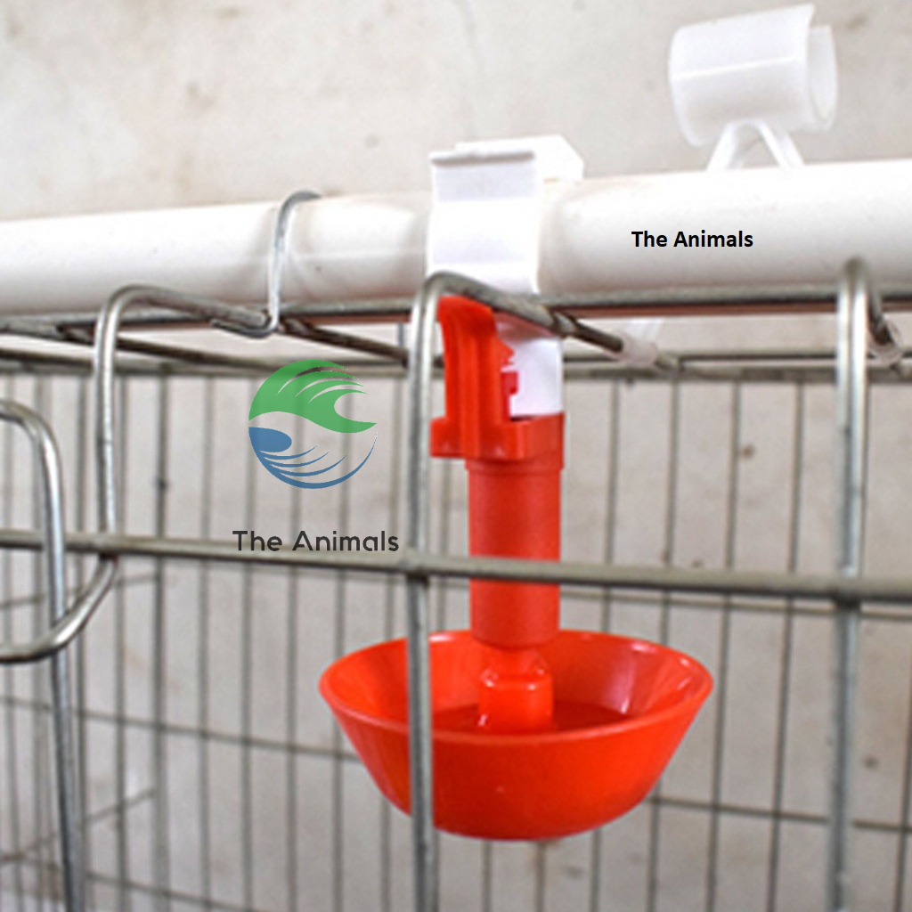 [50 Cái] Máng Cấp Nước Tự Đông Cho Gà Nuôi Công Nghiệp (Máng Phi 27)