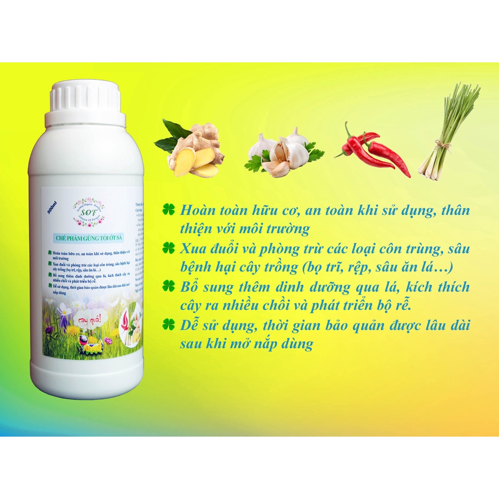 Chế phẩm sinh học 500ml từ Gừng Tỏi Ớt Sả phòng trừ Bọ trĩ, rệp, sâu