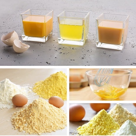 Bột Protein Lòng Trắng Trứng OVOVITA Vị Vani Hũ 560gr Kích Thích Phát Triển Cơ