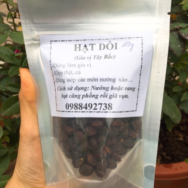 20g-100g Hạt Dổi Nếp Rừng - Gia Vị Tây Bắc ( Loại 1 hạt đều, đẹp, thơm )