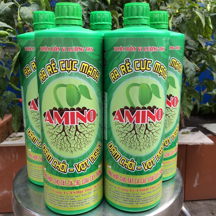 KÍCH RỄ CỰC MẠNH: Bung Rễ, Bộ Rễ Phát Triển Mạnh Mẽ