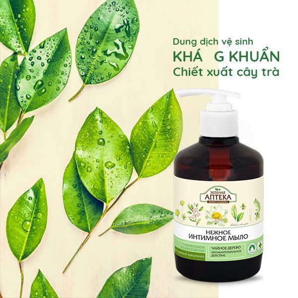 Dung Dịch Vệ Sinh Phụ Nữ Giúp Khág Khuẩn, Cân Bằng Độ pH Vùng Kín Zelenaya Apteka Cây Trà 370ml