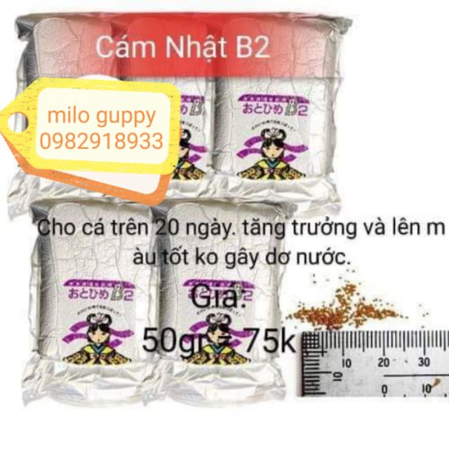 Cám nhật B2 50g
