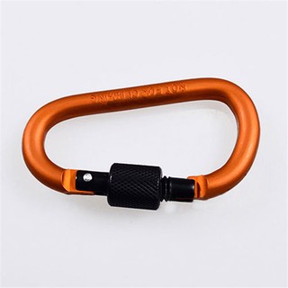 Móc treo (carabiner) thường 03