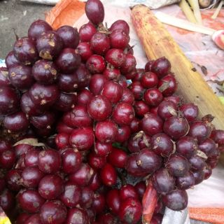 Thảo quả khô