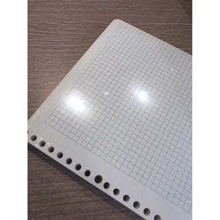 Ruột sổ còng Caro B5 - 100 tờ; MS: 546