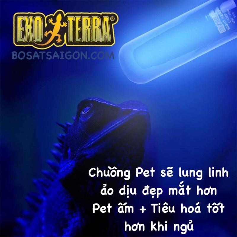 Đèn SƯỞI ẤM ĐÊM 75W giá sỉ, CHO BÒ SÁT, RỒNG NAM MỸ, RÙA NƯỚC, SULCATA, NÚI VÀNG. GIÁ RẼ NHẤT. Chính hãng EXO TERRA.