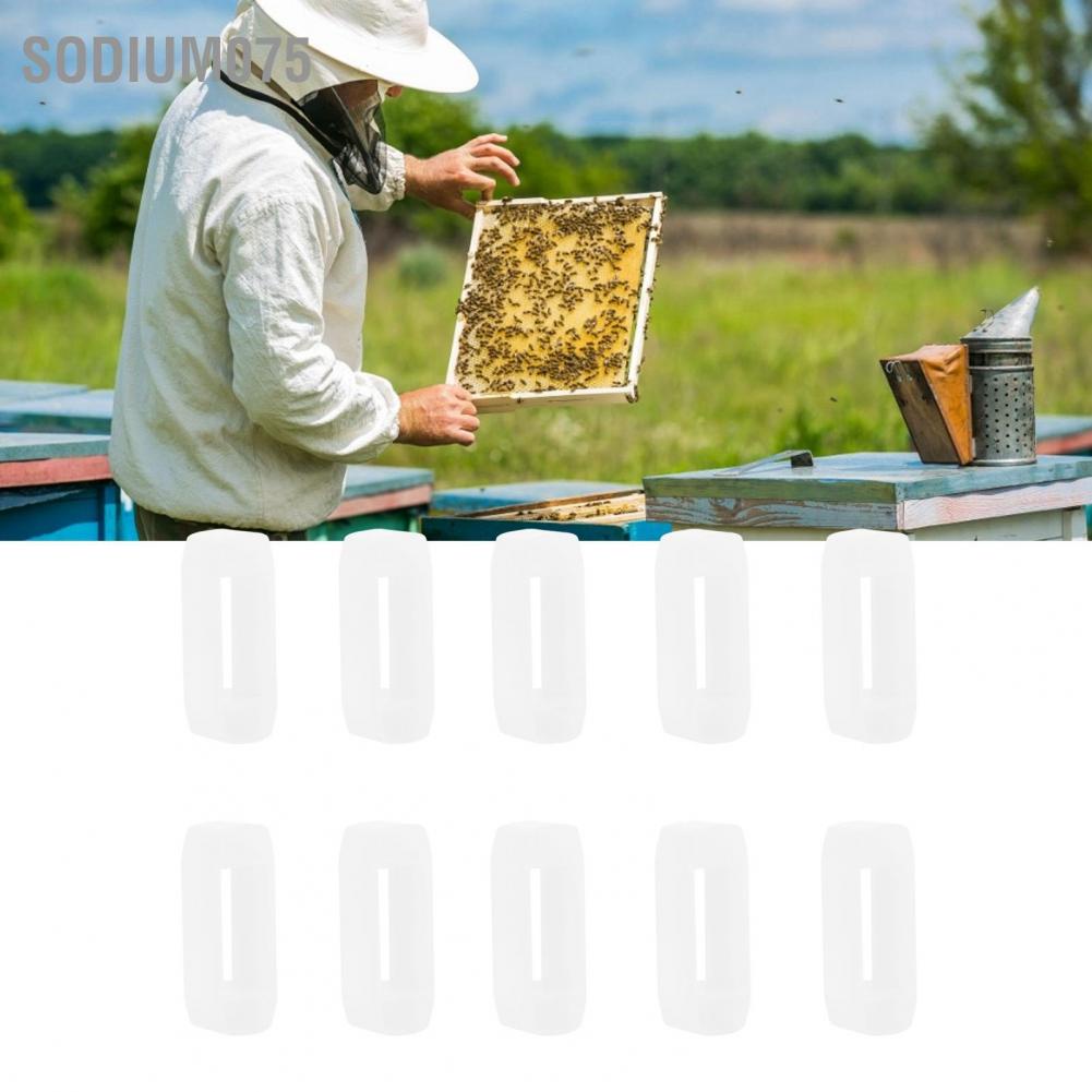 Sodium075 10PCS Beehive Frame Strip Plastic Spacer Beekeeper Beekeeping Tool Equipment