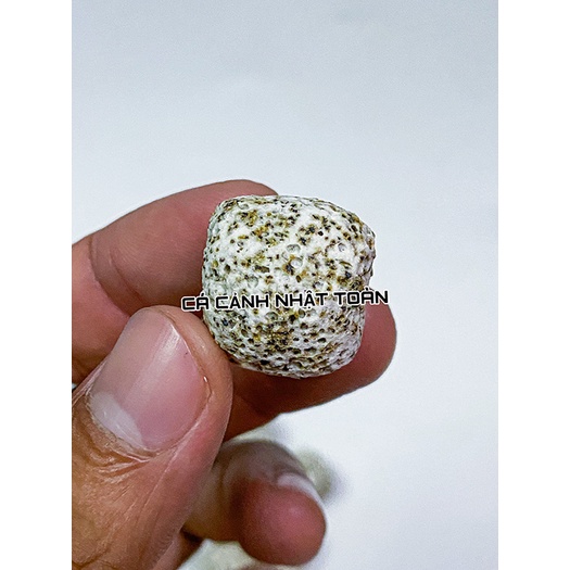 SỨ LỌC VIÊN SỨ TRẮNG BI MÈ VẬT LIỆU LỌC CHO BỂ CÁ CẢNH