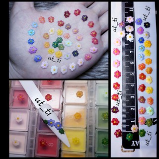 Hoa bột mỹ , hoa nhí nail trang trí móng