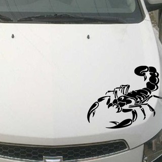 Decal bọ cạp có kích thước 20 cm X 30 cm