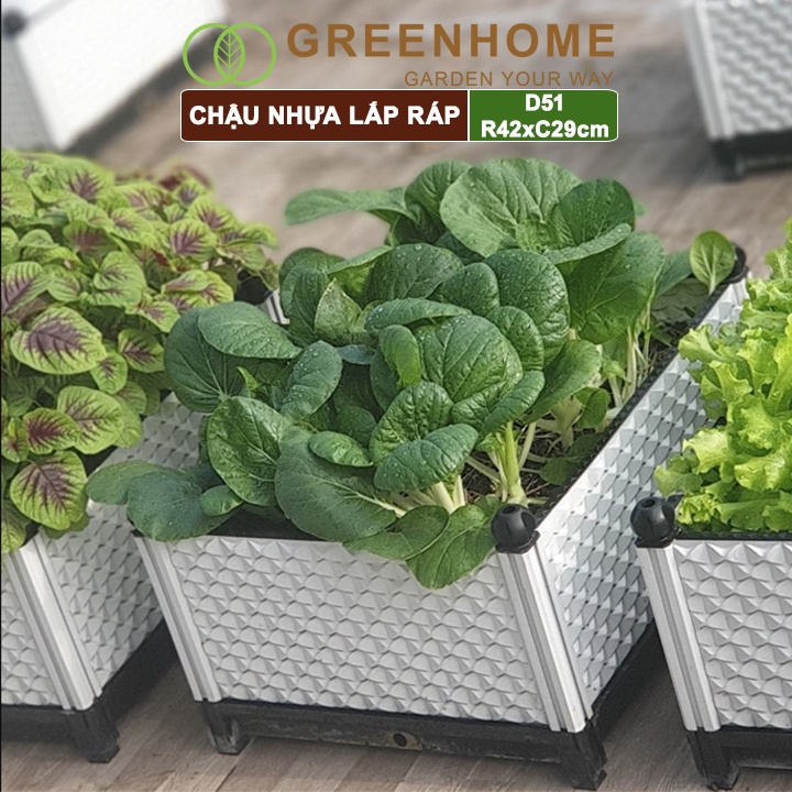 Chậu nhựa trồng rau Nhật Bản, Daim, D51xR42xC29cm, dễ lắp ráp, độ bền 5 năm, nhiều màu lựa chọn |Greenhome