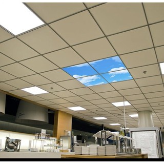Đèn led Panel Philips CertaFlux BL 600x600 công suất 44w