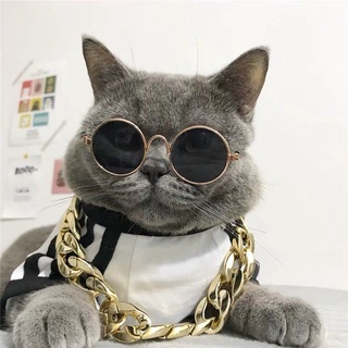Vòng cổ mạ vàng cho chó mèo cực ngầu