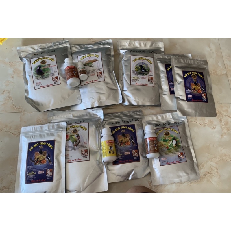 Cám vỗ béo thay lông choè-lão đại