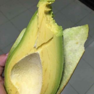 Bơ sáp đà lạt