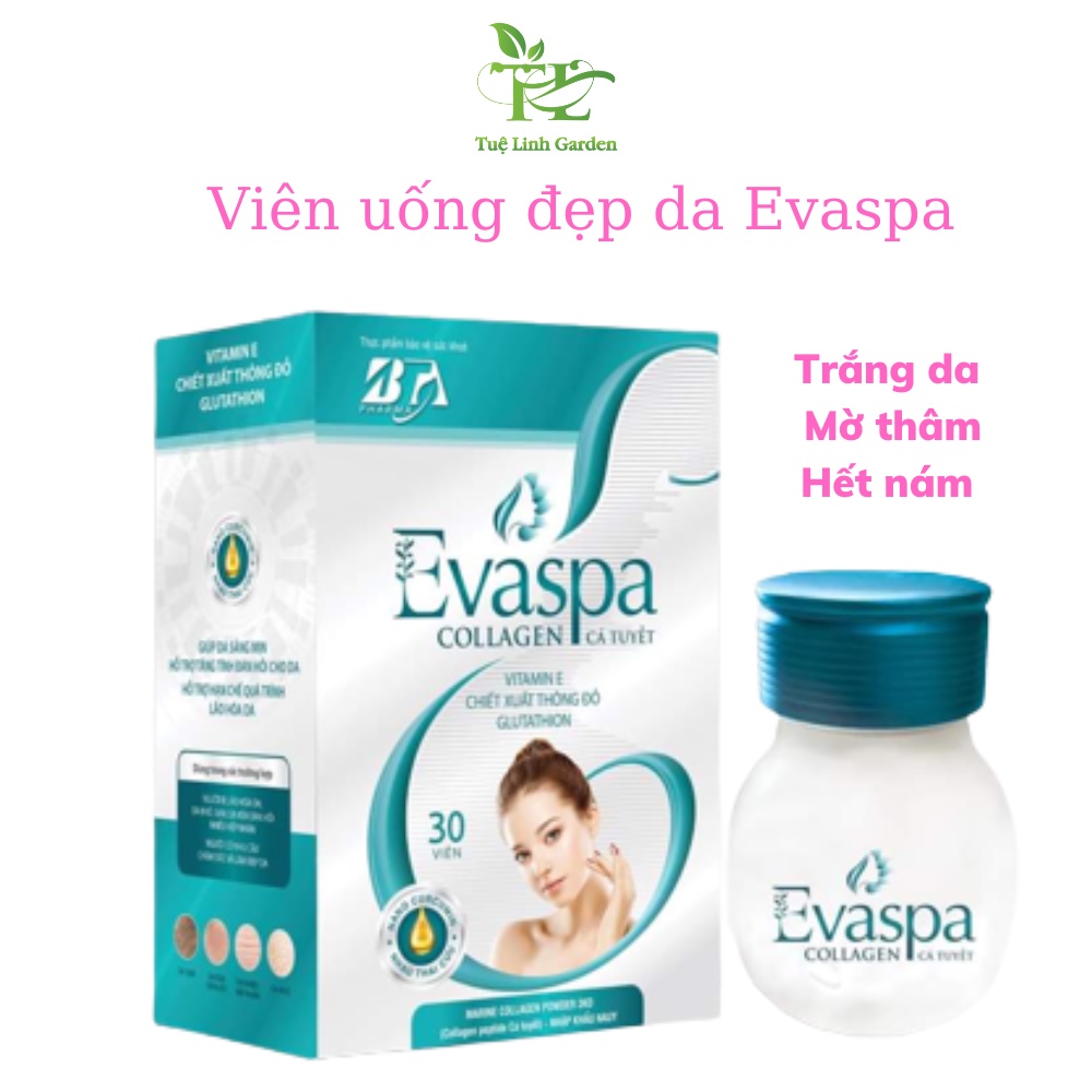 Viên uống trắng da Evaspa Collagen Cá Tuyết sáng mịn mờ thâm nám ,hộp 30 viên Tuệ Linh Garden