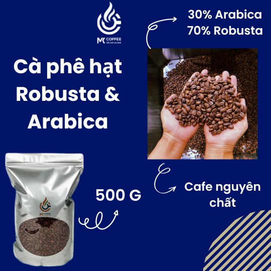 Cà phê HẠT nguyên chất, cà phê pha máy, pha phin, 30% hạt Arabica, 70% hạt Robusta rang mộc, bịch 500kg MK Coffee