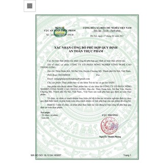 Trà Cà Gai Leo Túi Lọc