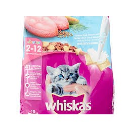 Thức ăn cho mèo con từ 2-12 tháng tuổi Whiskas Junior