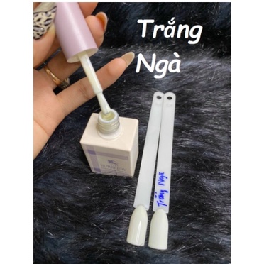 Sơn Gel Đen, Trắng, Nước Gạo, Trắng Ngà Burberry Chai 15ml